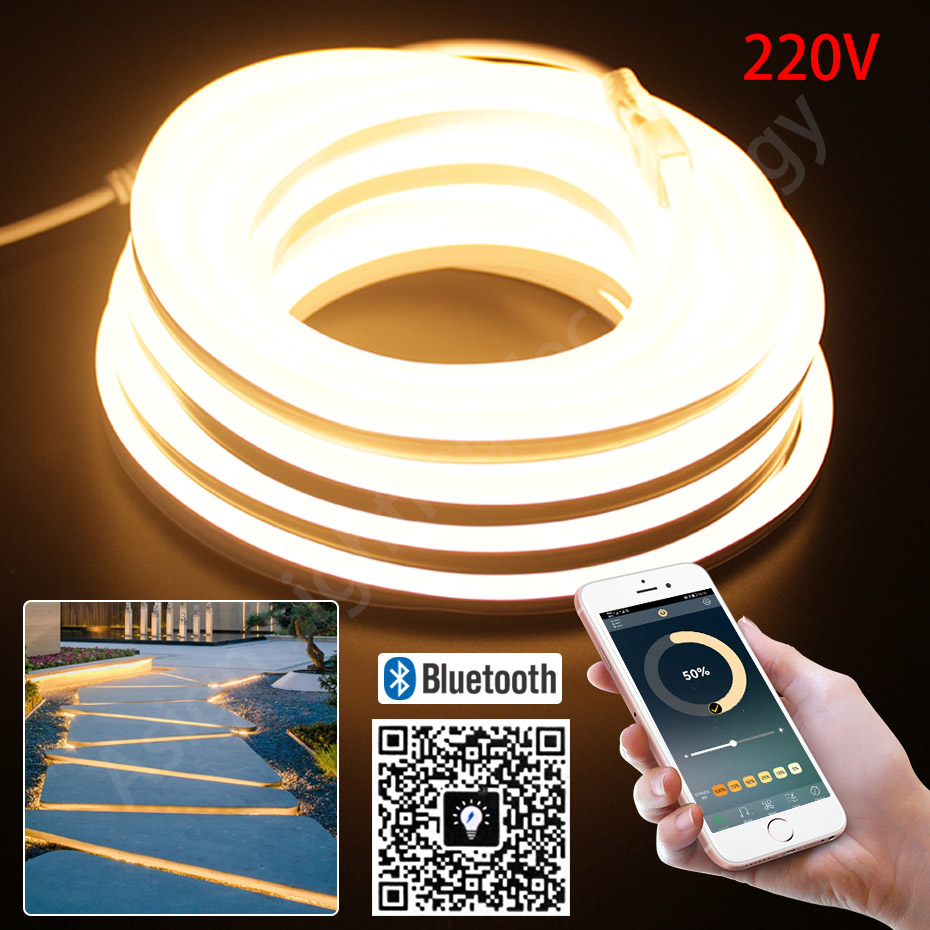LED-Neonstreifen, 220 V, 2835, – Outdoor Power Strip Weatherproof Bewertung und Preis
